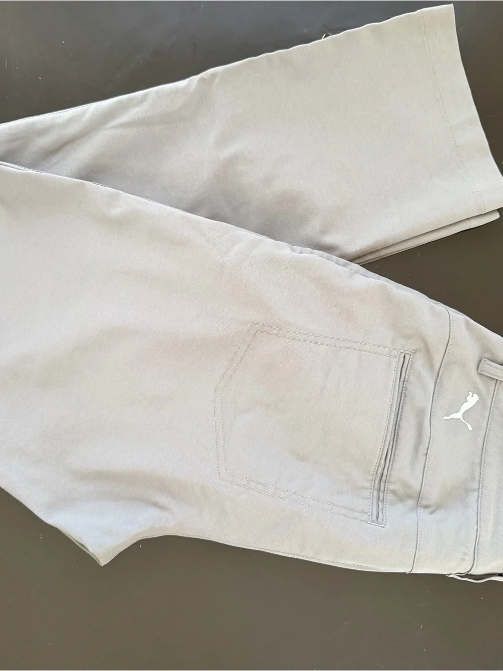 Puma Men’s Light Gray gold pants
